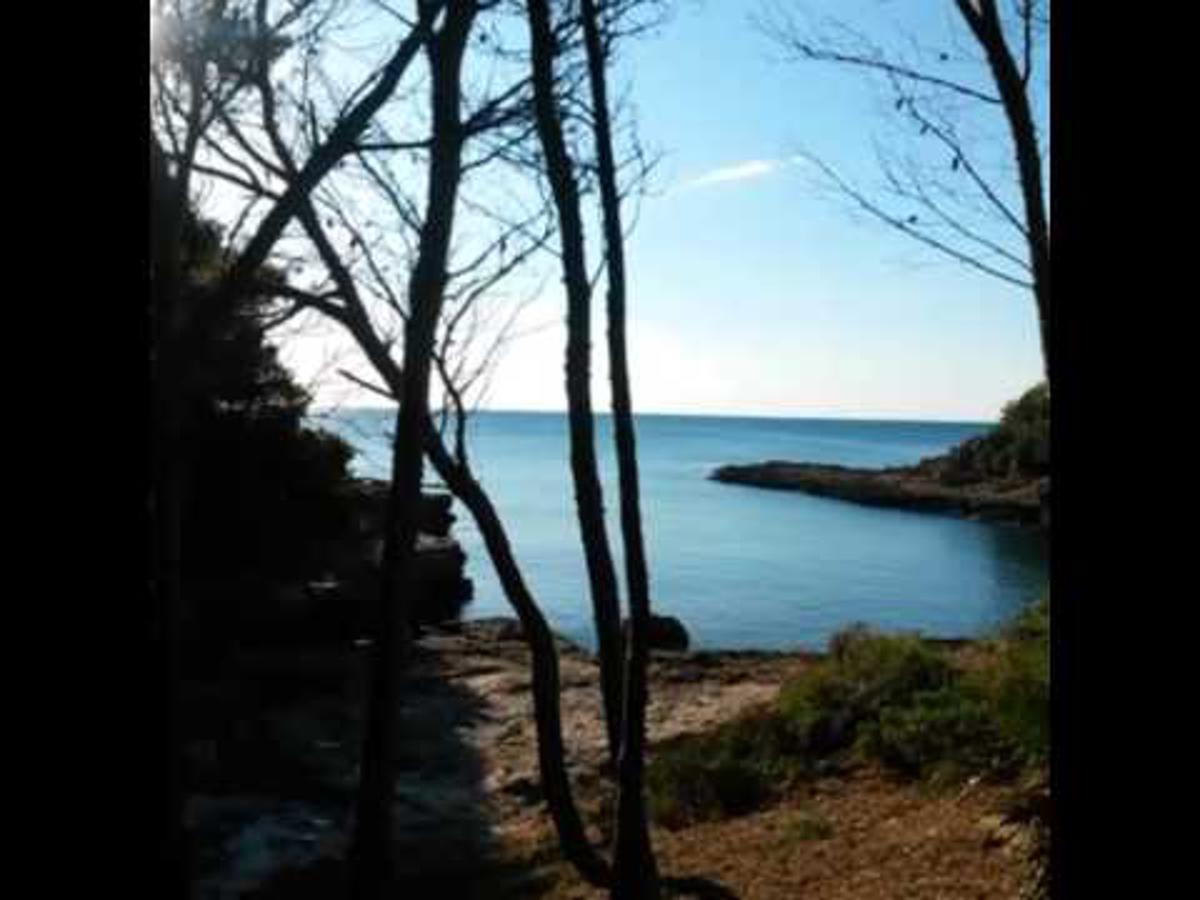 Innouthome Apartamento Andreu Llambrich L'Ametlla de Mar Buitenkant foto